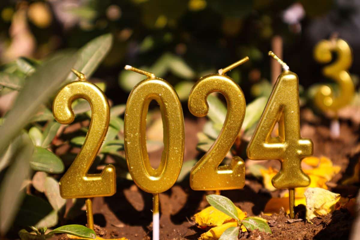 cumplir propósitos año nuevo