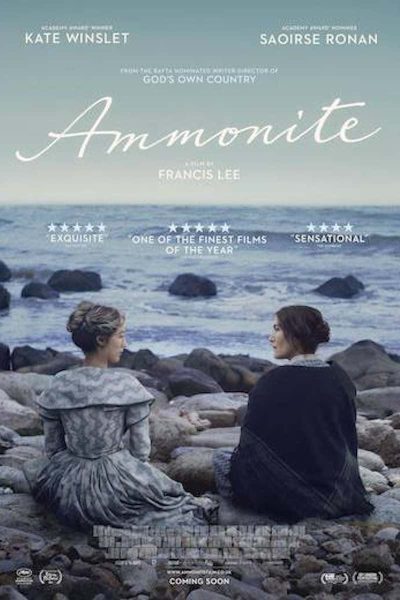 Ammonite