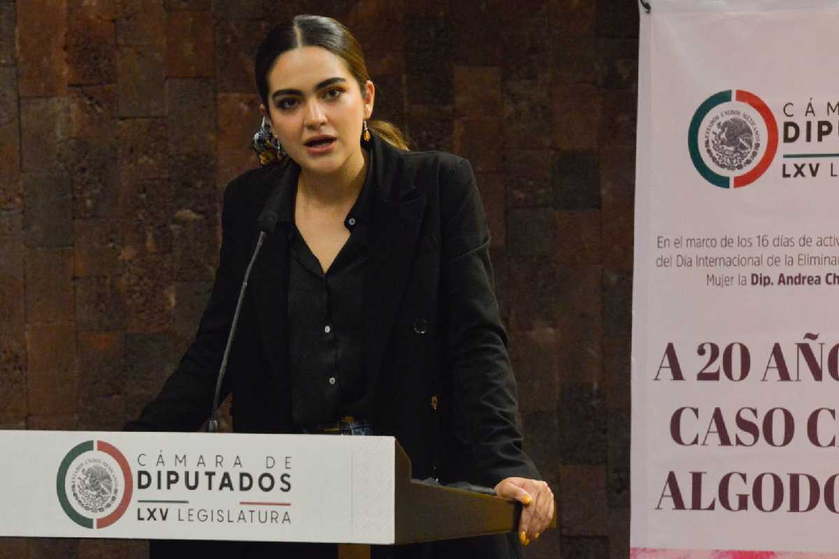 diputada andrea chavez vuelo sedena taxi aereo