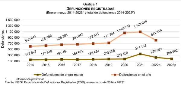 cifras inegi defunciones