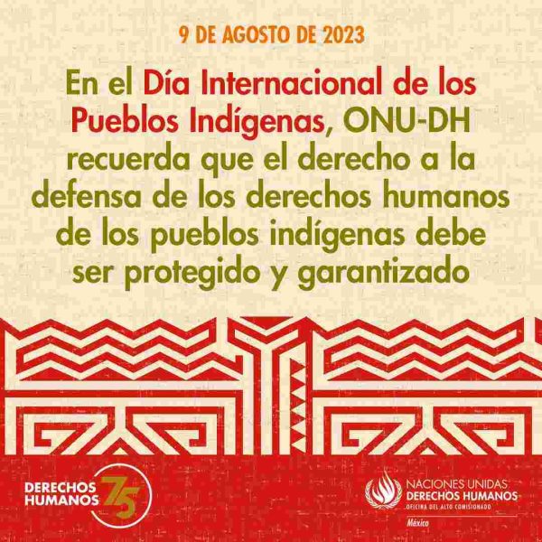 onu dh pueblos indigenas