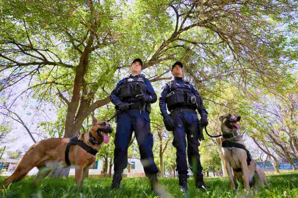 aguascalientes-seguridad-publica-estrategia-policia