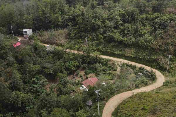 omunidad de Cahuayogco, perteneciente a la Junta Auxiliar de San Andrés Tzicuilan, municipio de Cuetzalan, Puebla