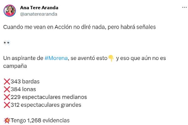 diputada pan ana tere ignacio mier