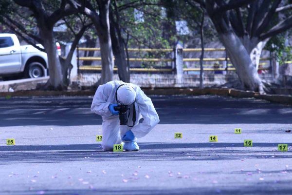 limoneros Michoacán
