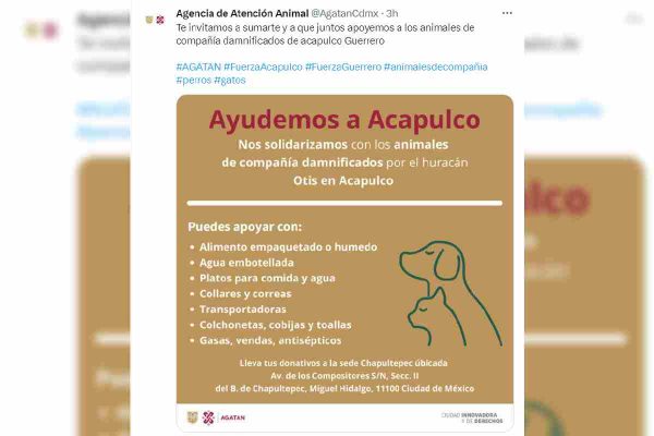 acopio animales huracan otis