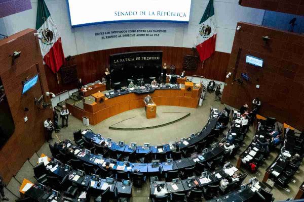 senado