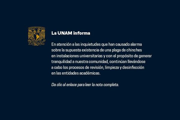 chinches unam 2023