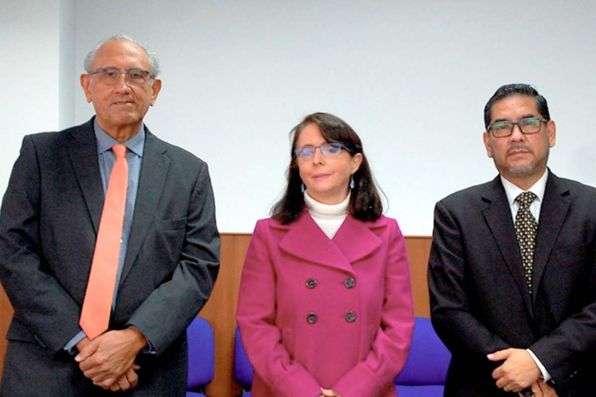 conacyt alvarez buylla cide