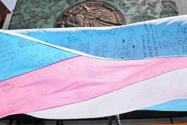 bandera trans