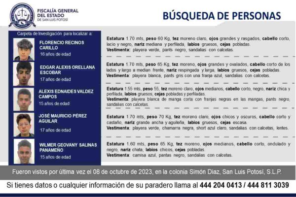 fichas de busqueda adolescentes san luis potosí