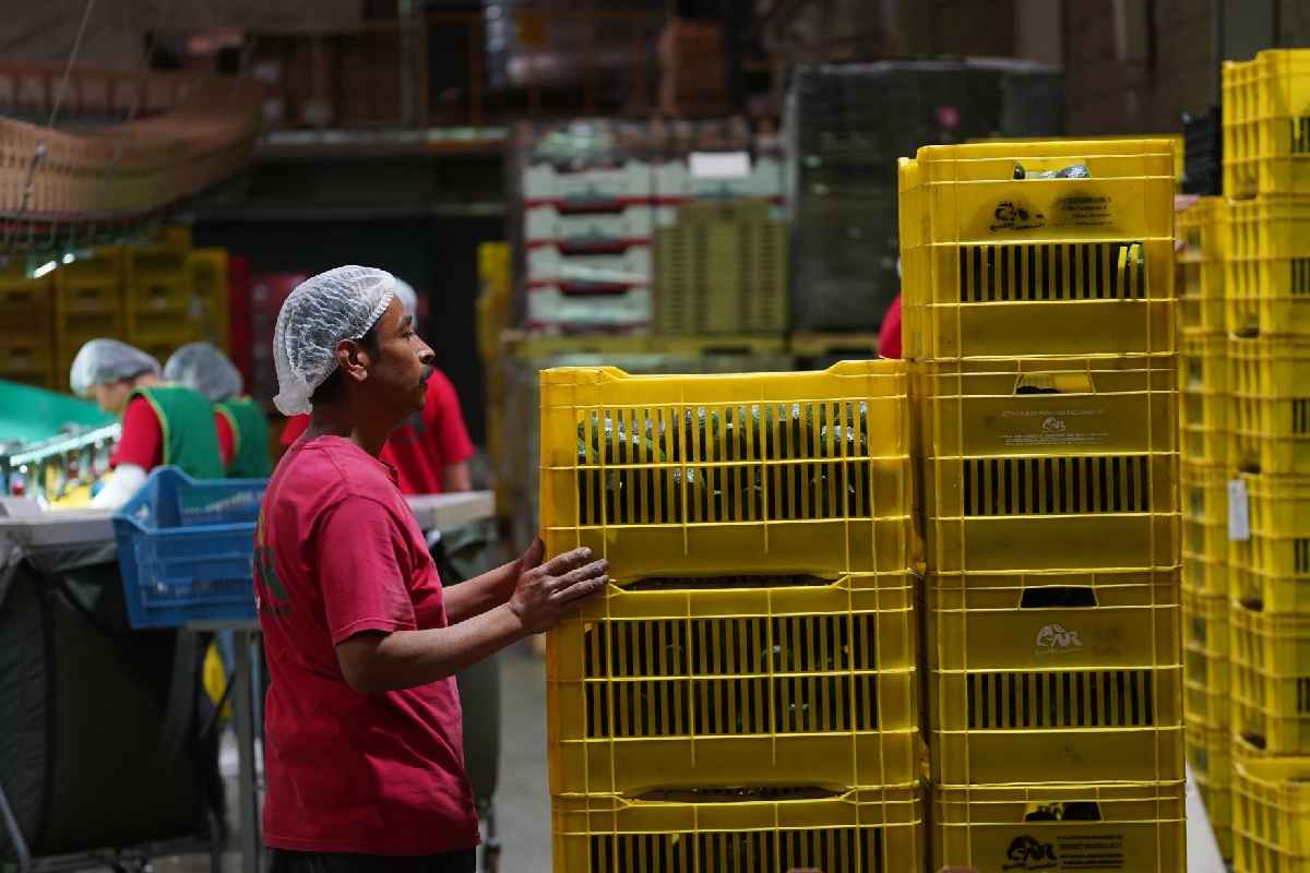 FMI PIB México