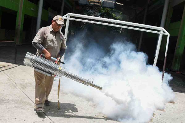 fumigacion chinches