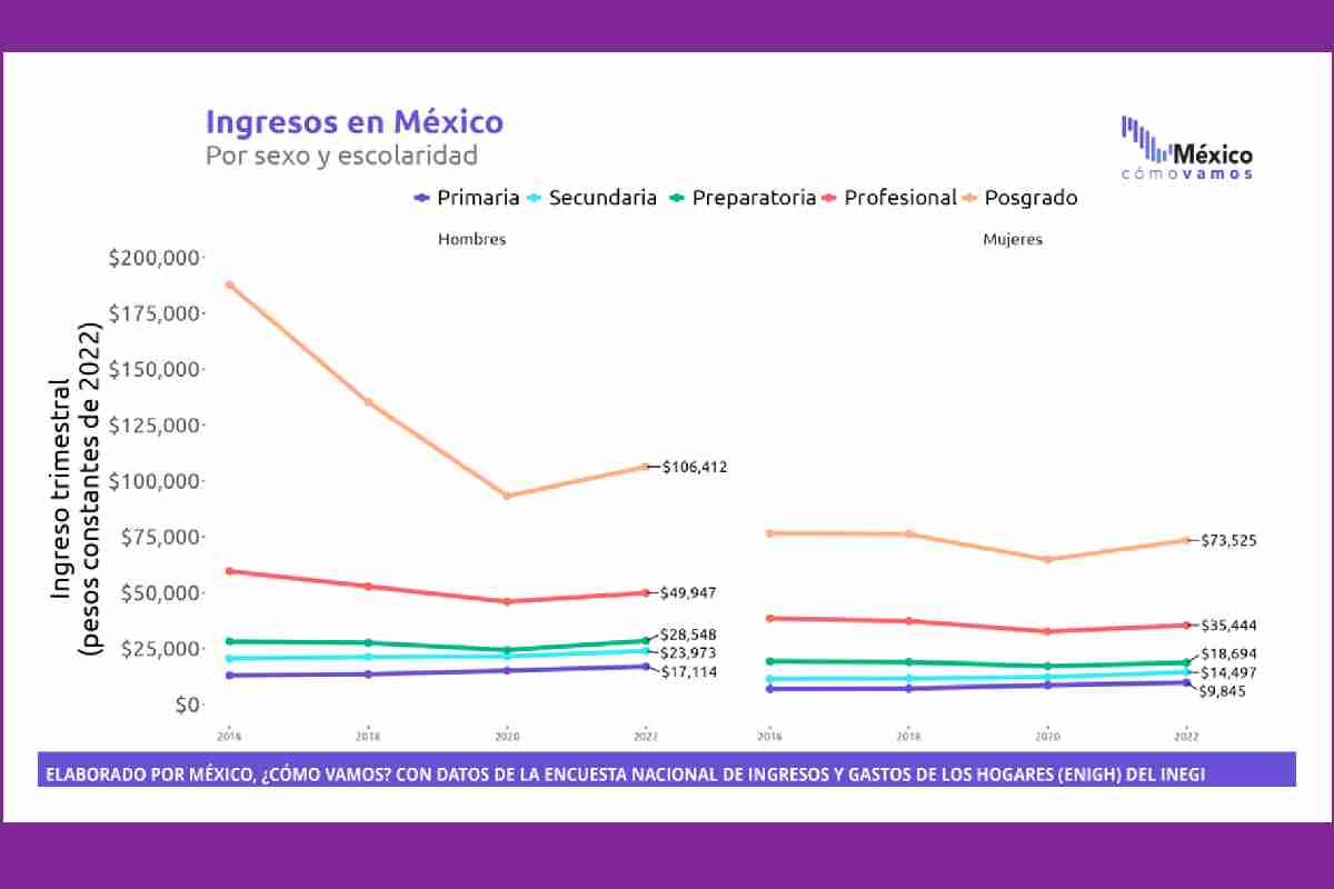 Gráfica sobre los ingresos en México por sexo y escolaridad