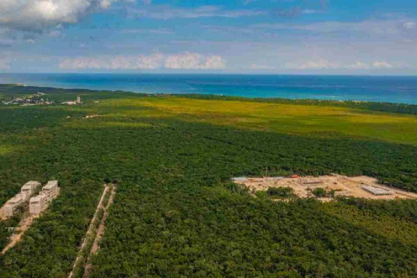 parque del jaguar tulum
