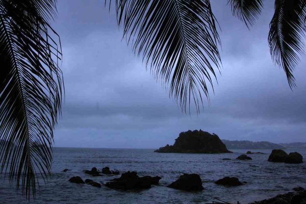 tormenta max