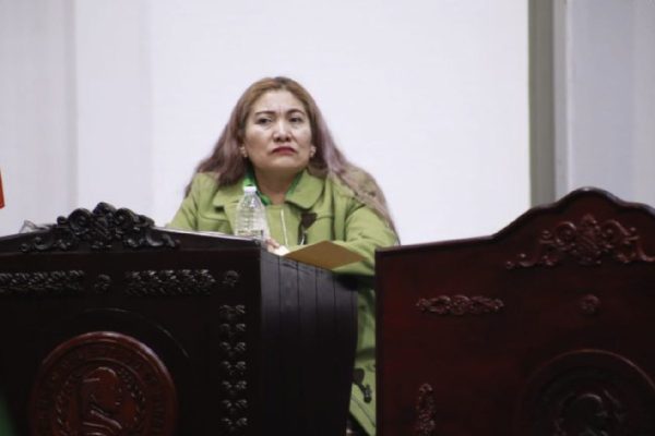 Gabriela Godínez Hernández, diputada de Morena en Hidalgo, que propuso tipificar el delito de transfeminicidio