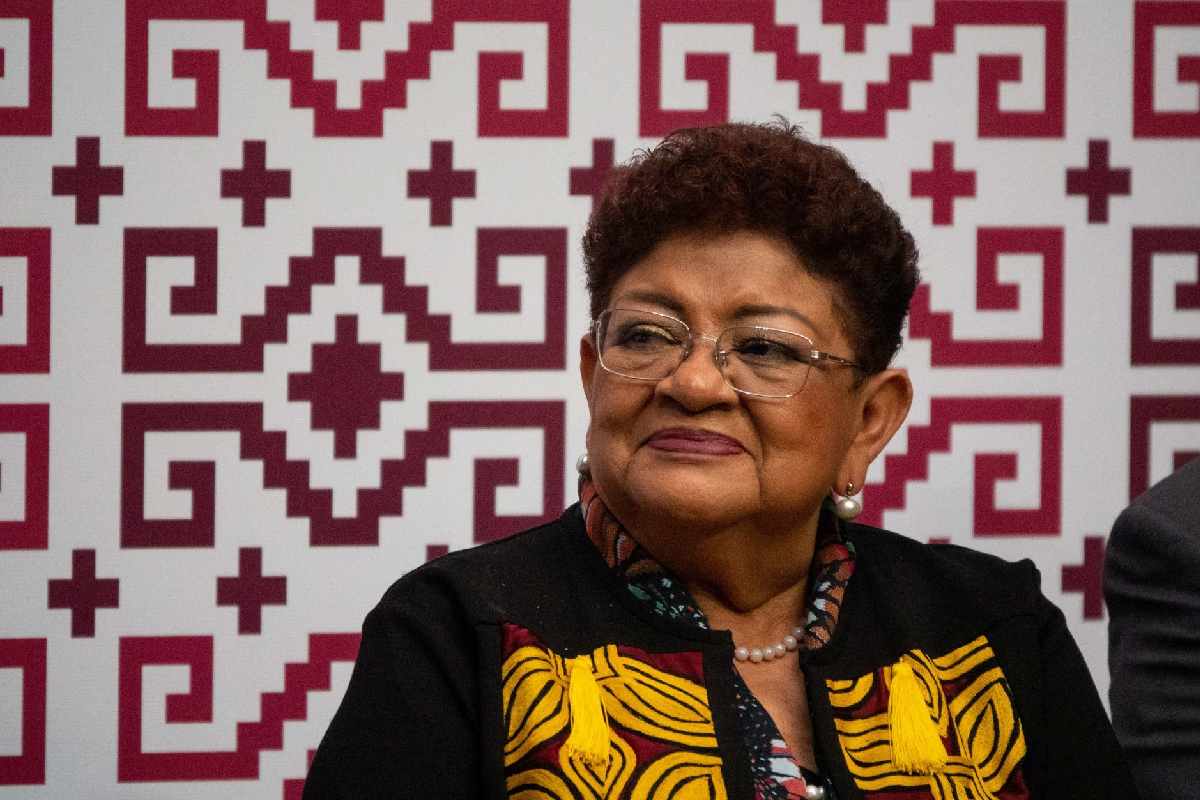 ernestina godoy cartel inmobiliario