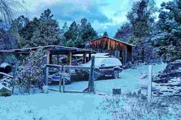 nieve durango