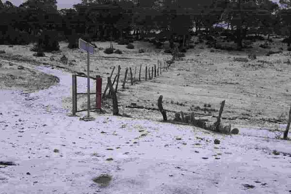 nieve nuevo león