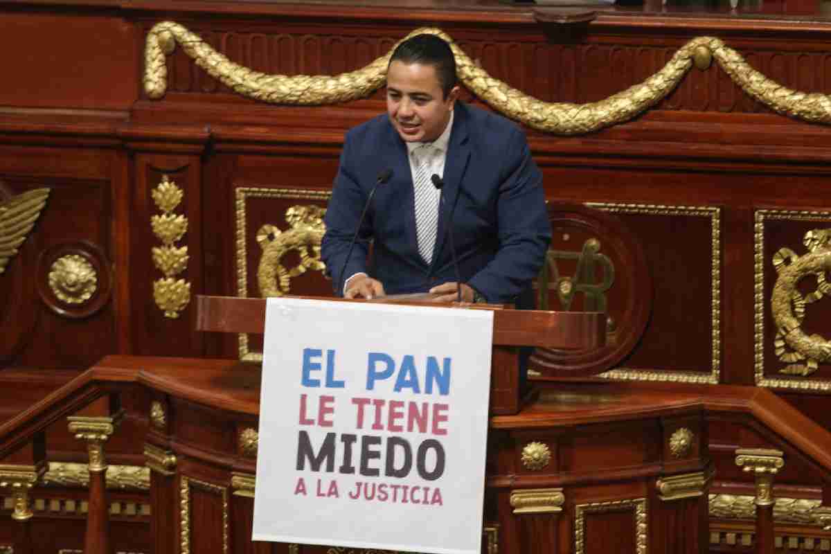 congreso ratificacion ernestina godoy