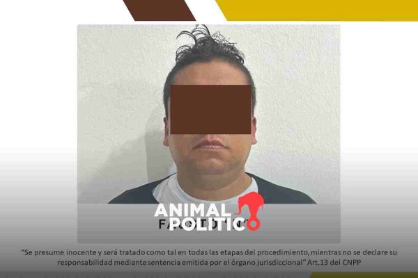 director Tránsito Veracruz