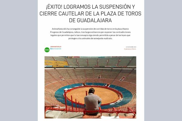 Organización en defensa de los derechos de los animales celebra suspensión de las corridas de toros en Guadalajara, Jalisco