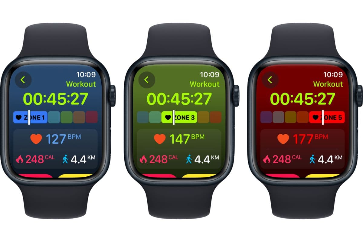 smart gym app del año