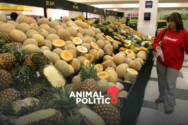 salmonella melon mexicano