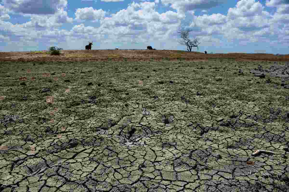2024 calor