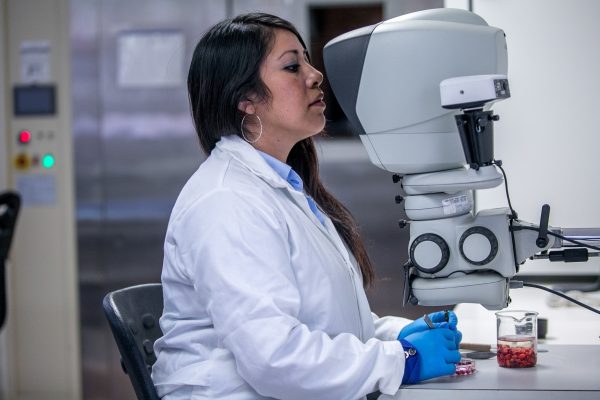 Virus zombie en el Ártico