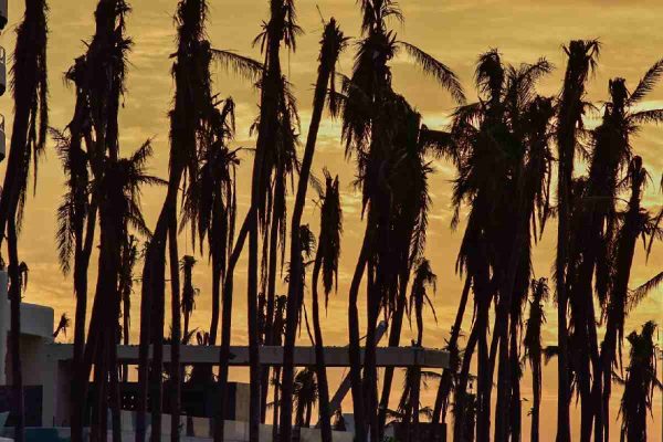 Playas afectadas en Acapulco, Guerrero, tras el paso del huracán Otis.