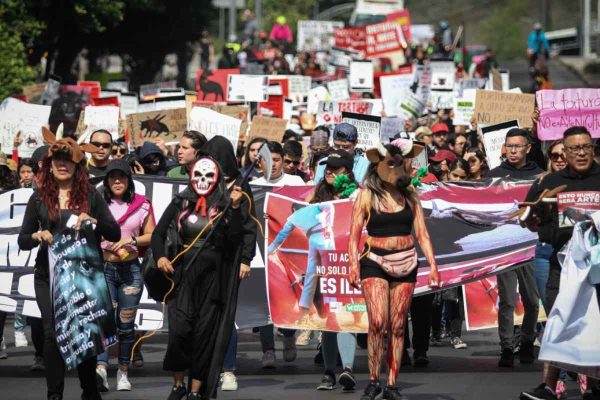 Activistas y defensores de los animales marcharon rumbo a la Plaza de Toros