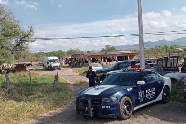 Autoridades investigan las posibles causas que provocaron el desplome de una avioneta