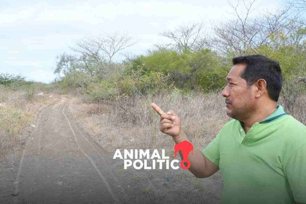 david hernandez activista oaxaca