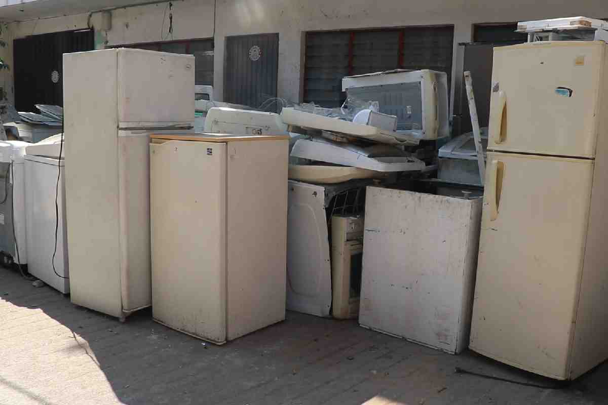 dengue acapulco otis basura