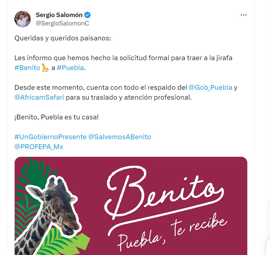 jirafa benito puebla