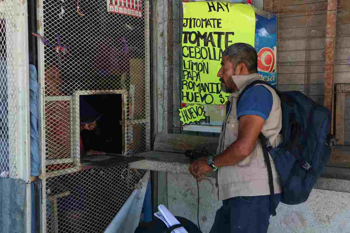 maestro chilpancingo