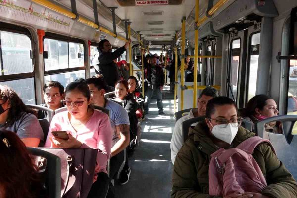 mascota viajar metrobús