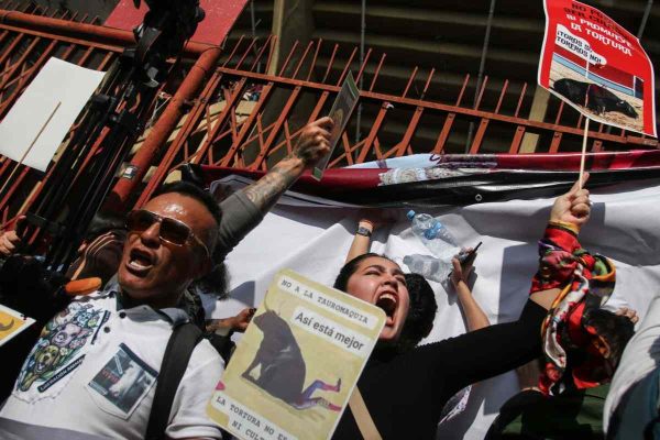 Protestas contra las corridas de Toros
