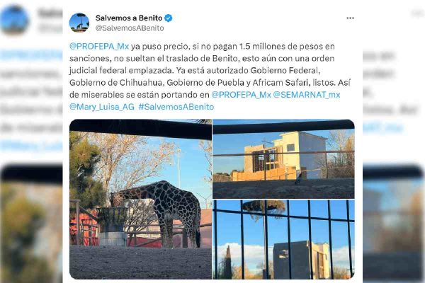 salvemos a benito