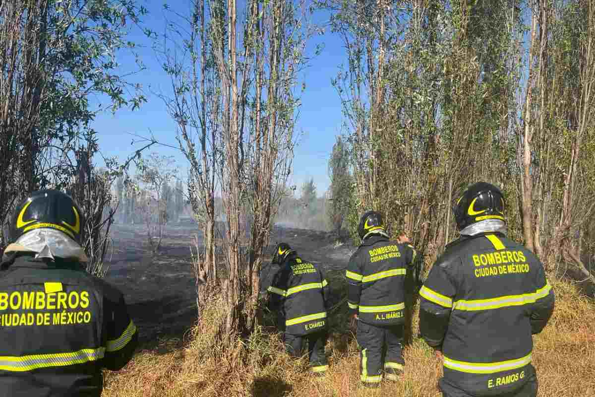 Bomberos laborando en Parque Ecológico Cuemanco