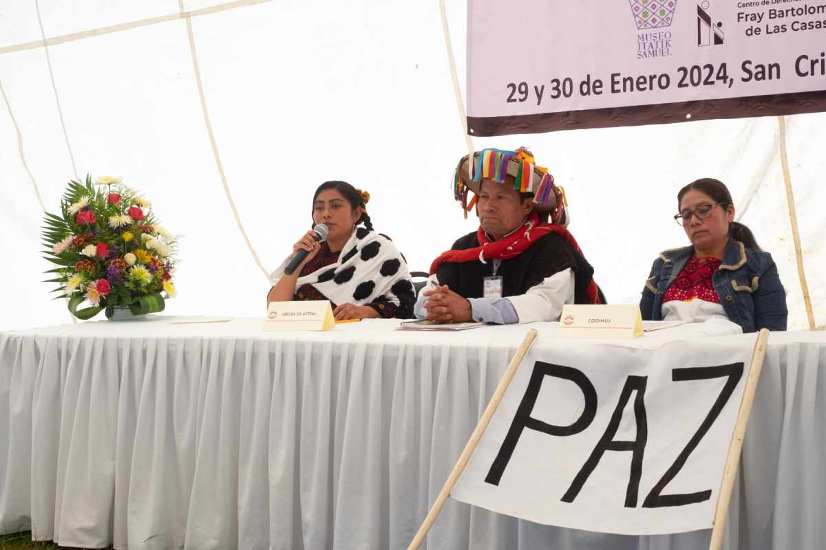 dialogos por la paz chiapas