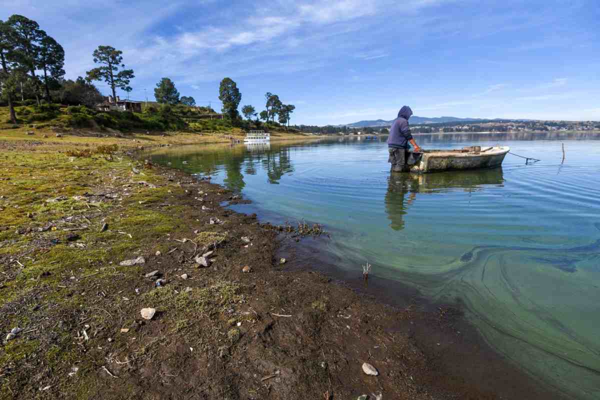 enero 2024 temperatura record calor