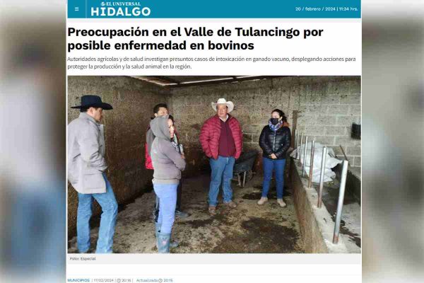 Captura de pantalla de El Universal sobre infección de ganado en Hidalgo, el 17 de febrero de 2024