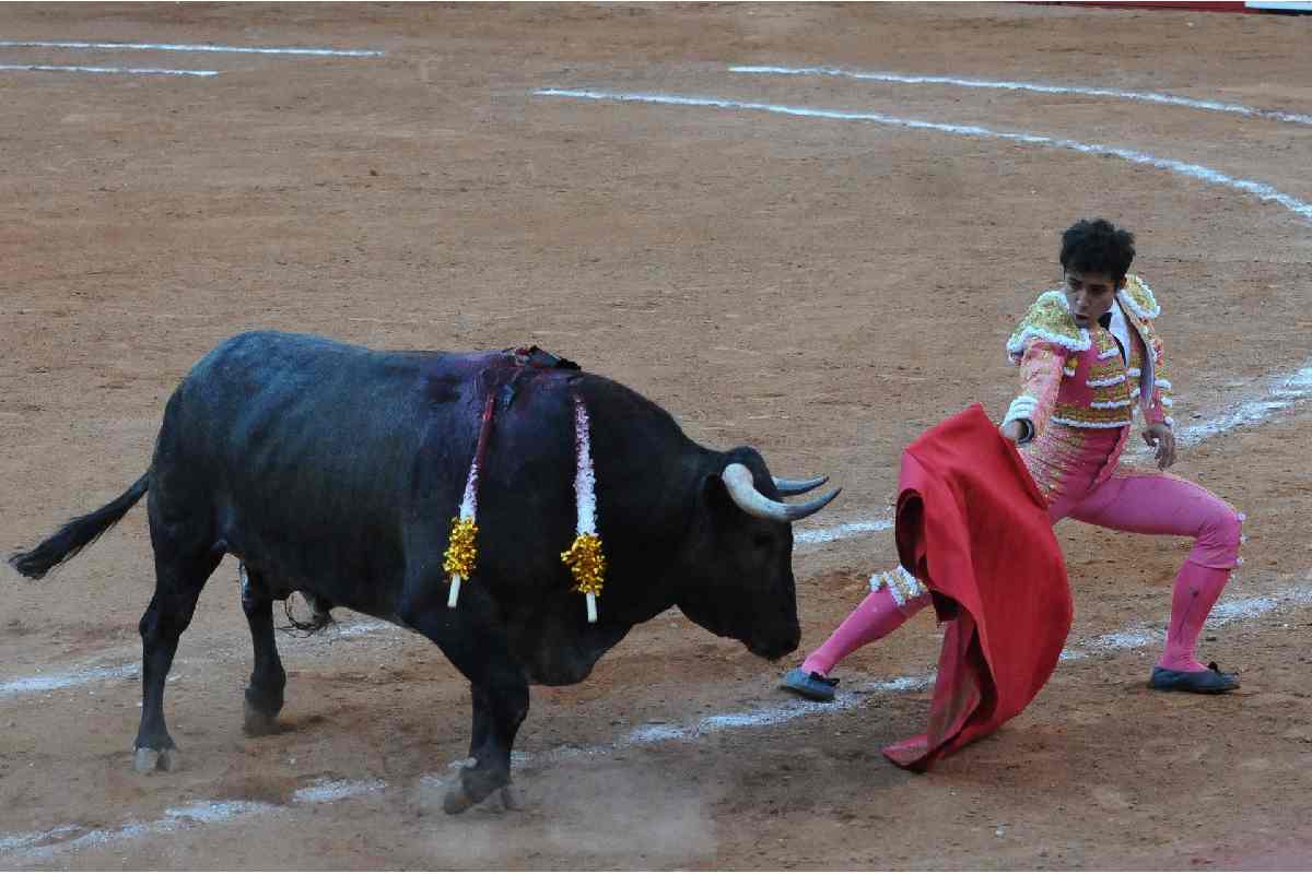 plaza méxico toros