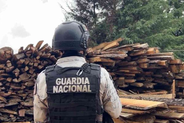 Guardia Nacional en operativo contra talamontes en Morelos.