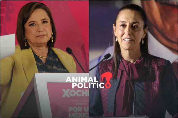 Xóchitl Gálvez programas sociales