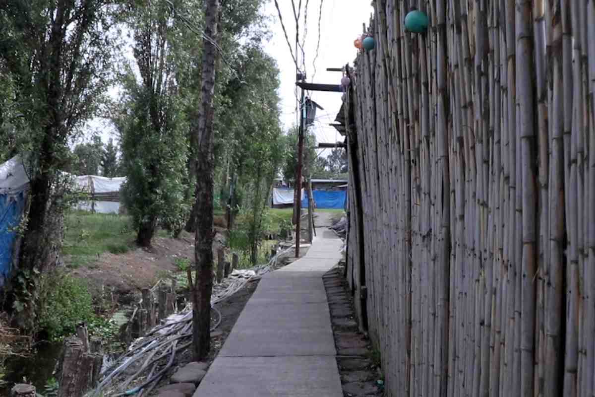 embarazo-adolescente-en-xochimilco