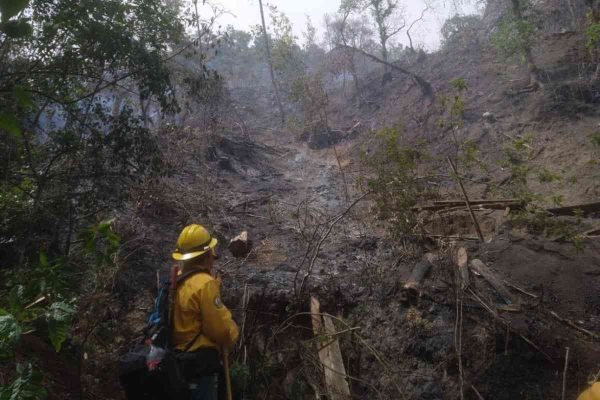 incendio nogales